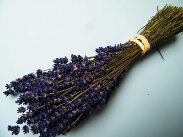 dried lavender bunch uk
