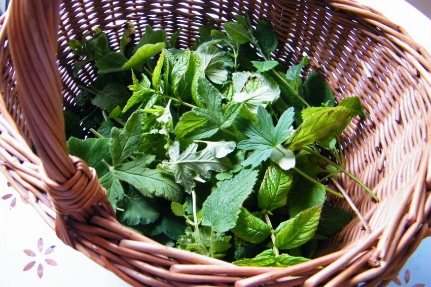 potpourri recipe scented leaves for drying