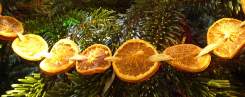 natural christmas garland dried orange slices
