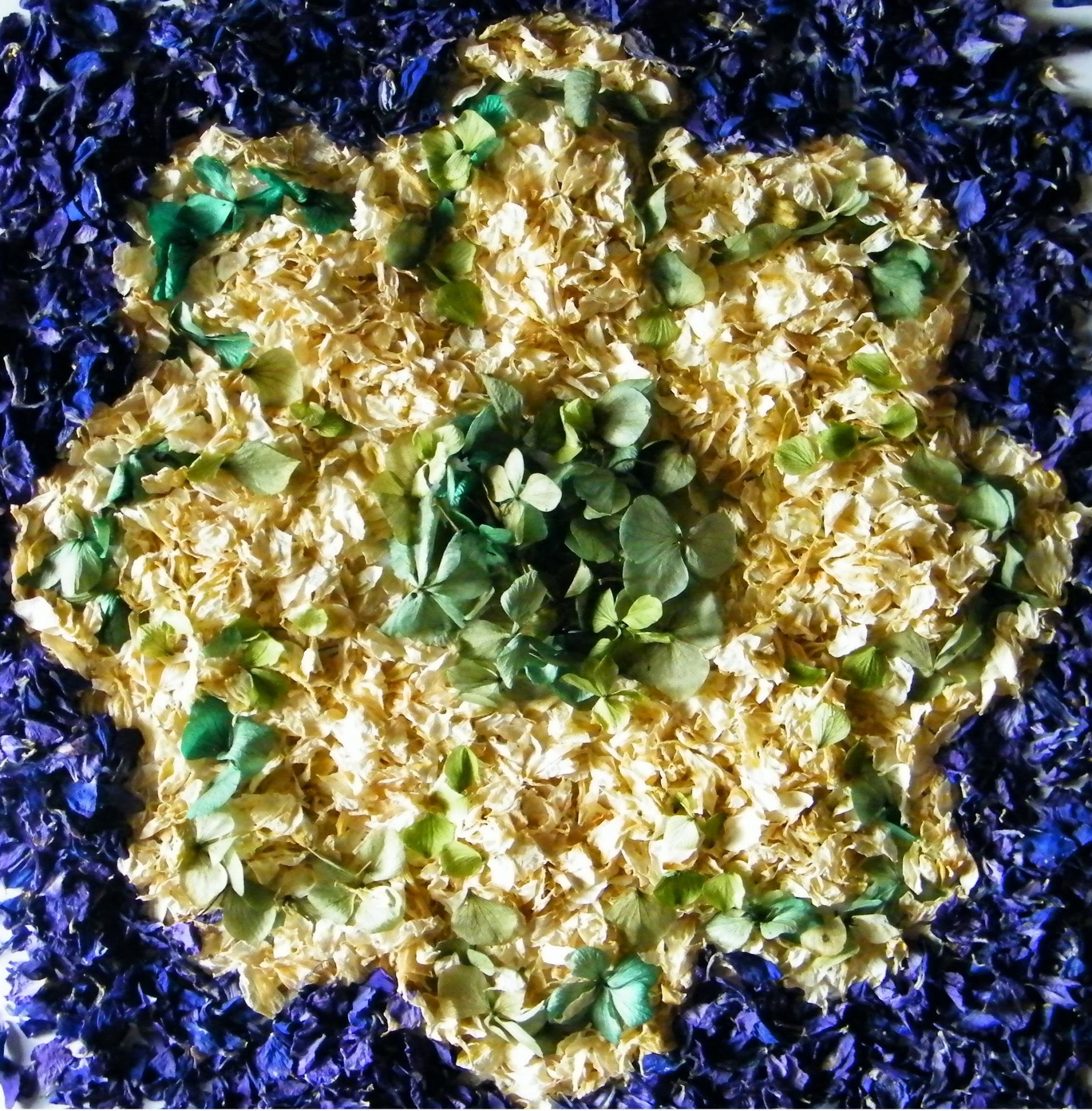 logo dried flower petals delphinium petals