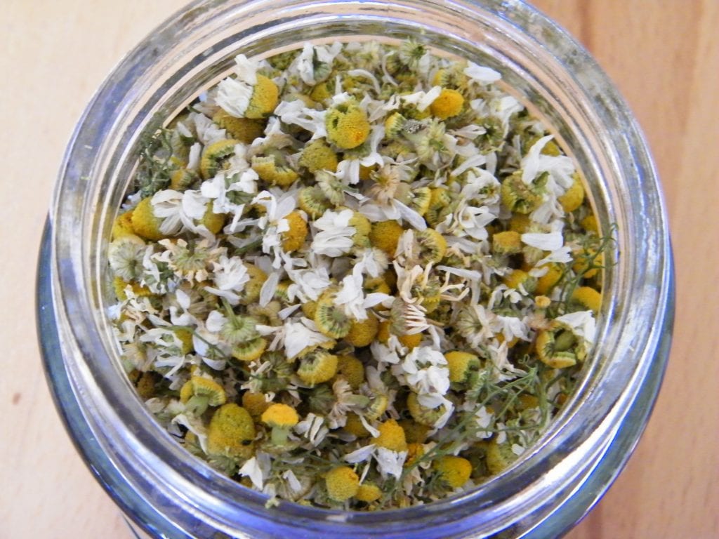 dry chamomile flowers for tea