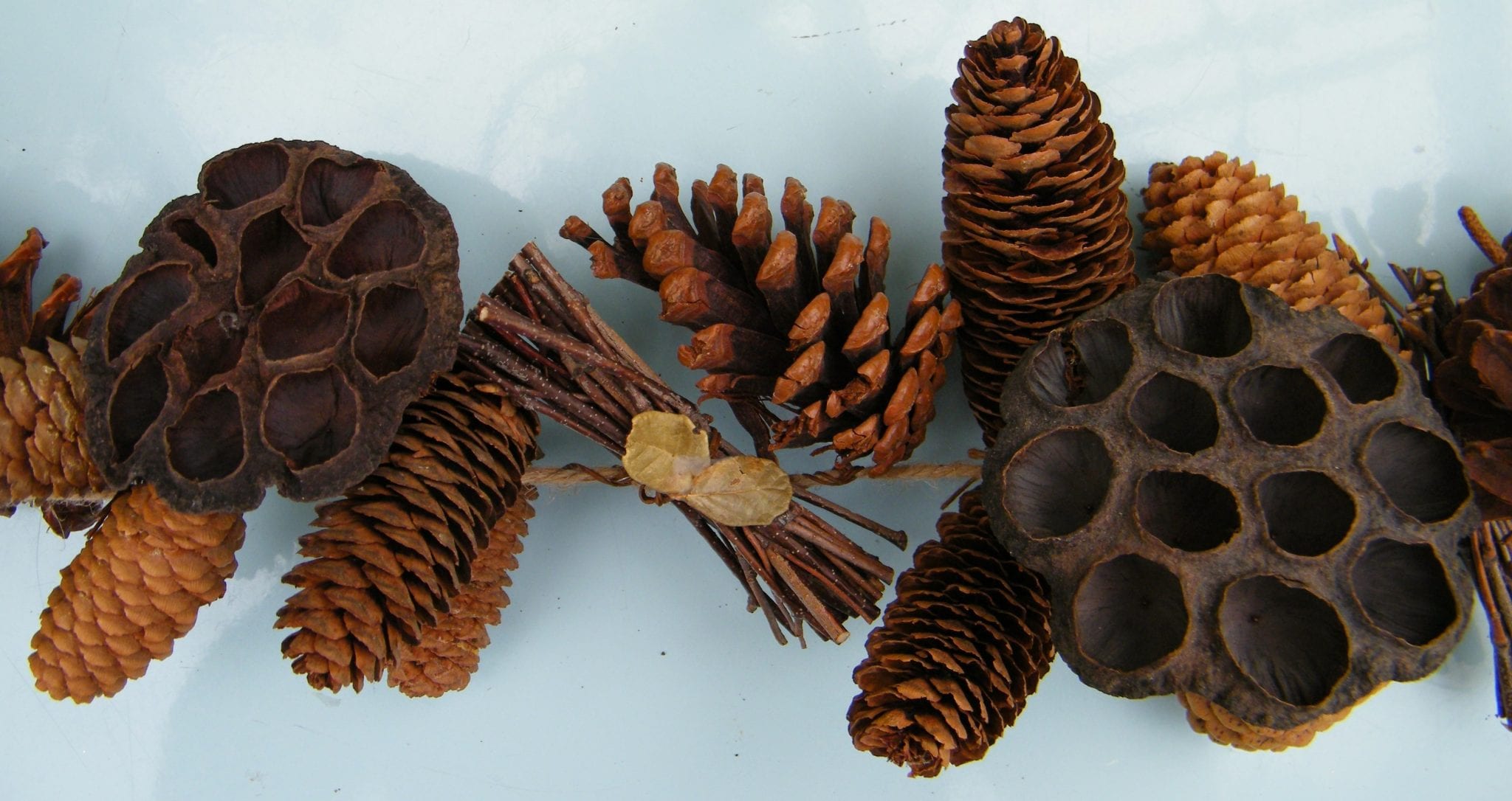 chunky garland pods pinecones