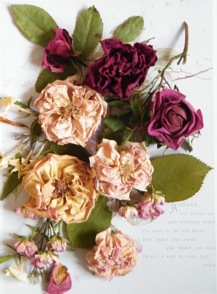 dried rose arrangement