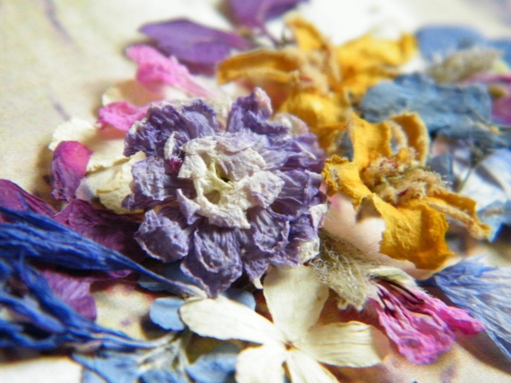 drying flowers like these to make dried flowers