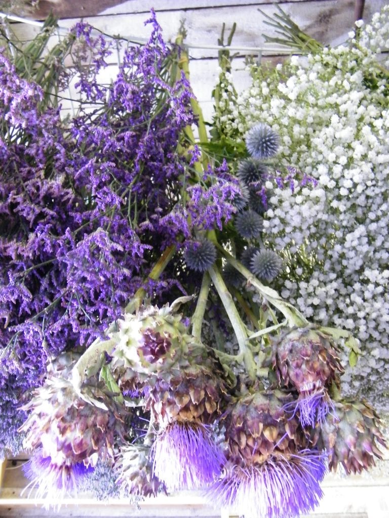 dried flower bunches hanging