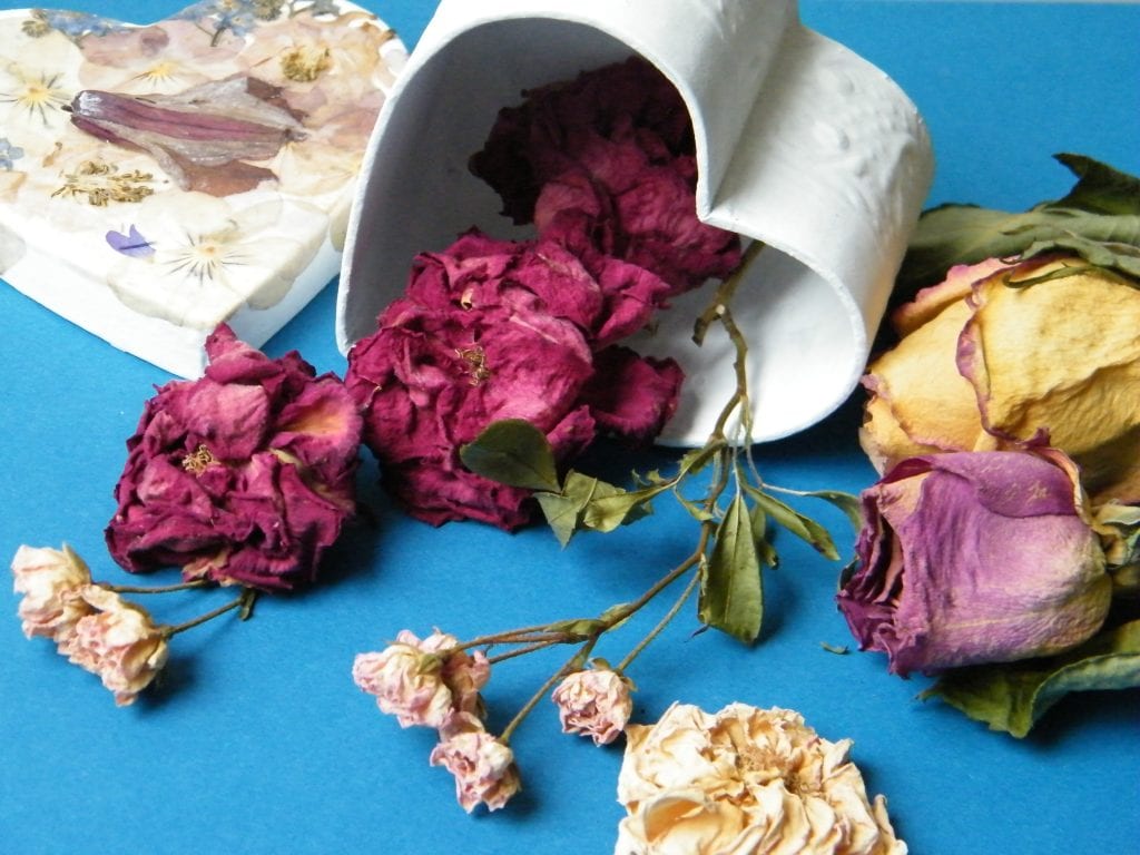 dried roses pressed flowers box