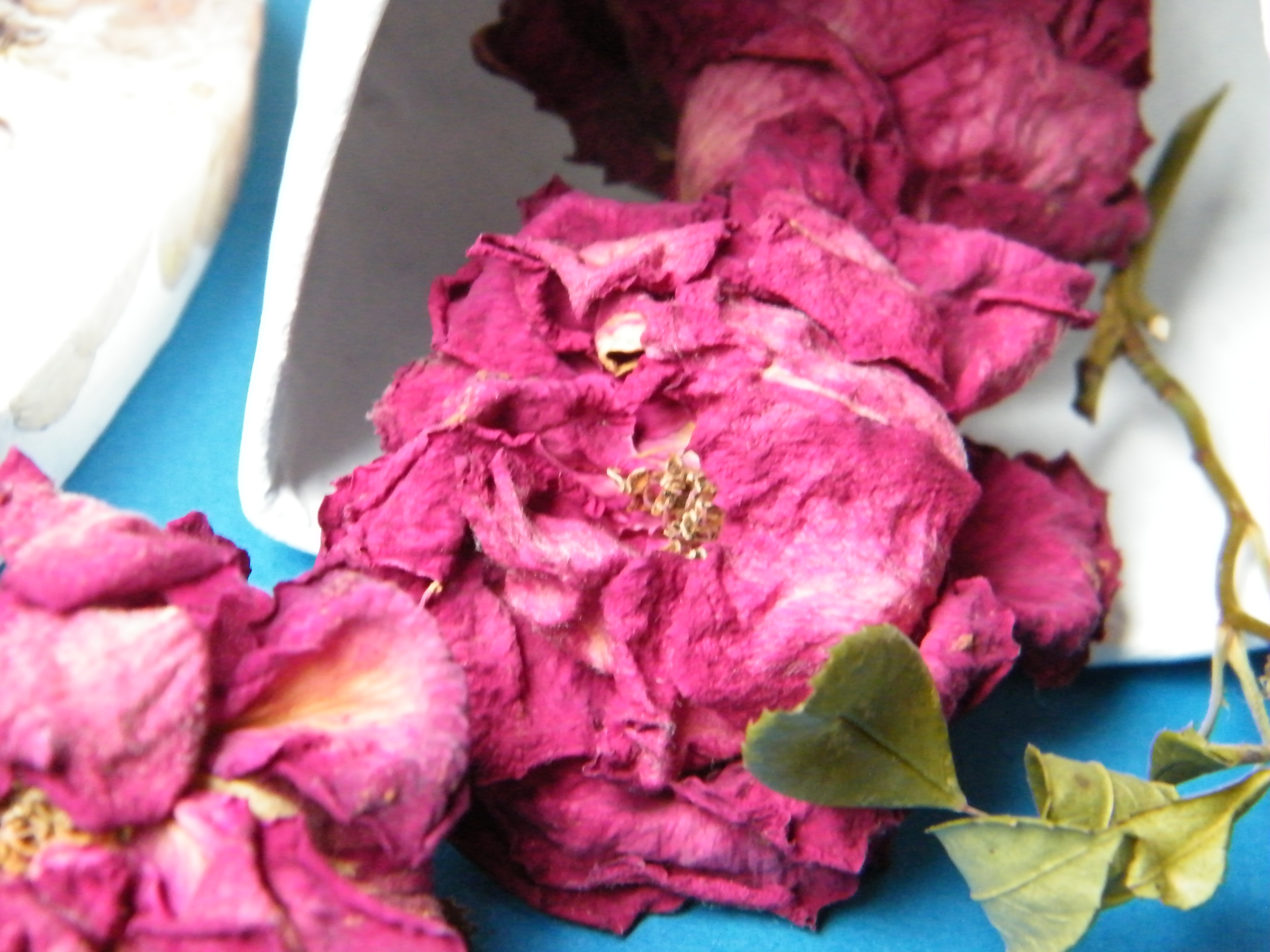 7th feb happy rose day date, sms, quotes, wishes, images for friends Memories box with dried roses and pressed flowers on Valentines Day