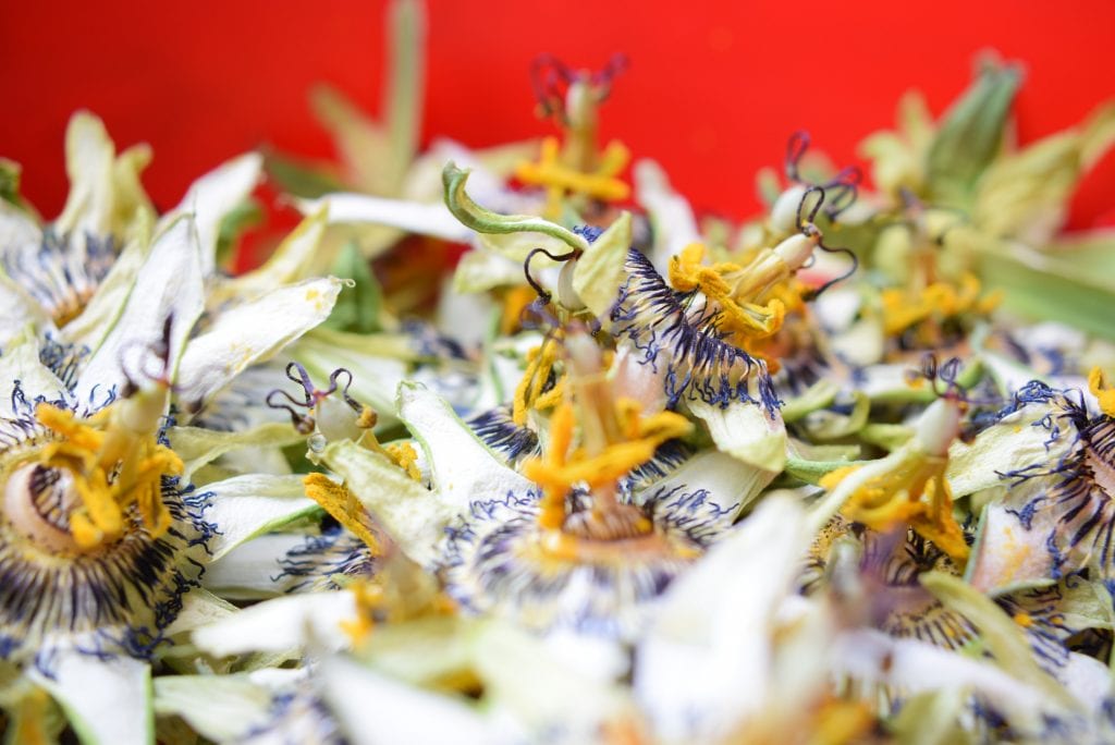 drying flowers passionflowers