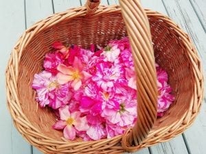 dried rose petals basket