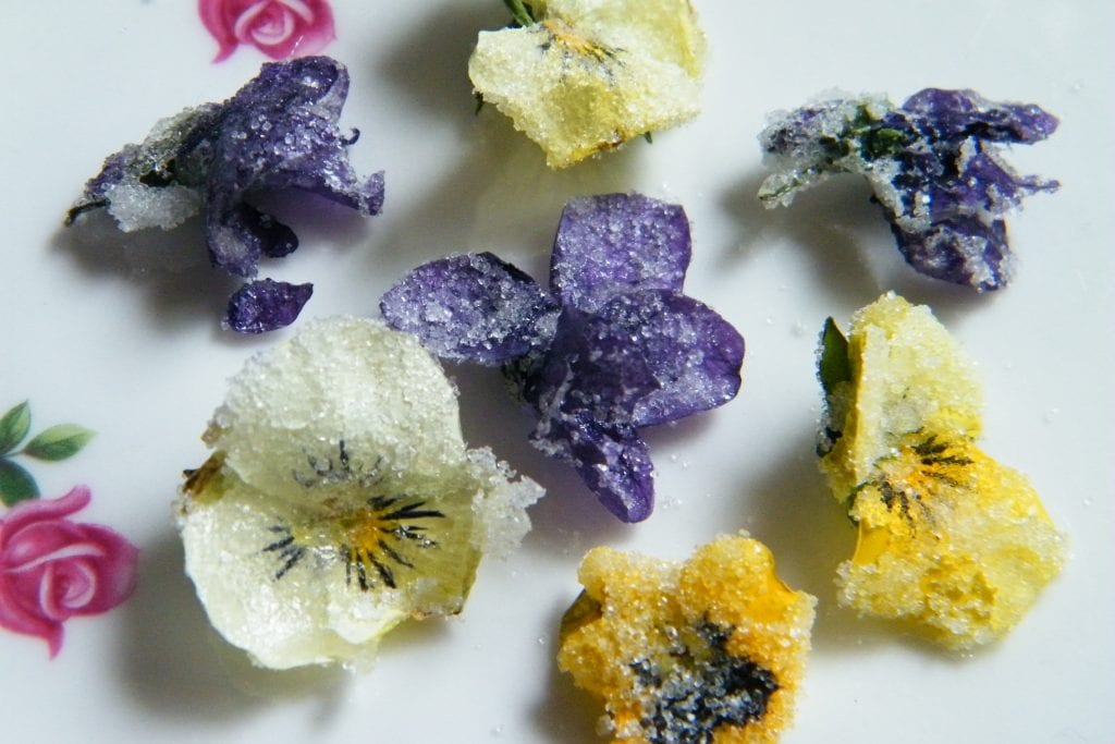 crystallised violas violets