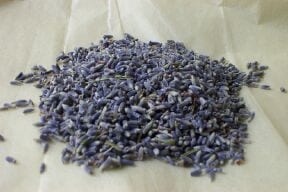 dried lavender pile
