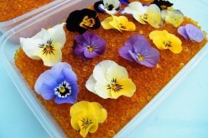 drying flowers silica gel violas