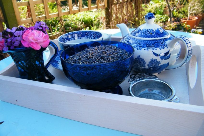 dried lavender tea garden