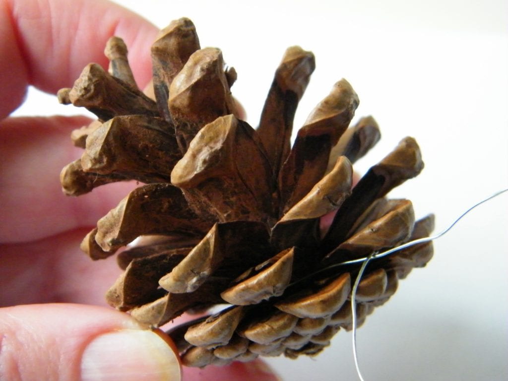 wiring pine cone
