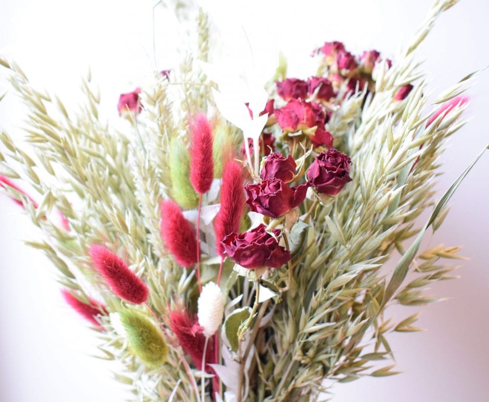 red green dried flowers