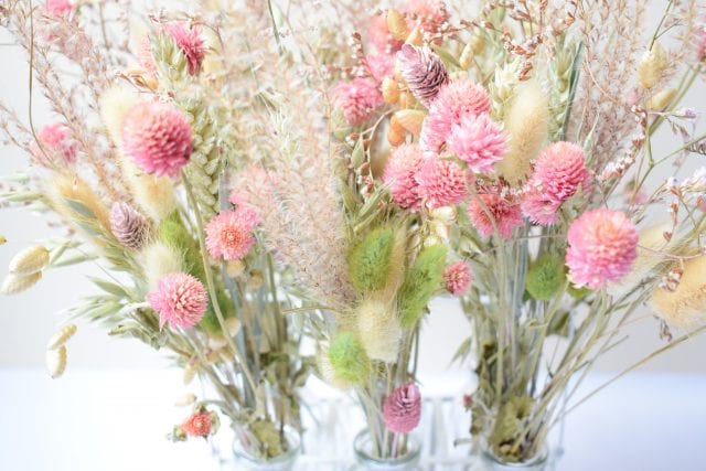 dried natural pink clover grasses